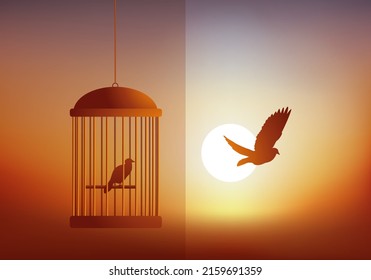 Konzept der Freiheit, mit einem Vogel, der in einem Käfig eingeschlossen ist und einen anderen vor einem Sonnenuntergang frei fliegen sieht.