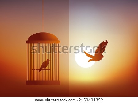 Similar – Image, Stock Photo The sun locks away the winter