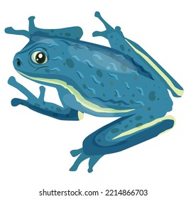 concept of frog set of icons flat vector illustration