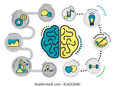 concept of function of left and right brain, thin flat line icon template infographic for website, banner, medical vector illustration.
