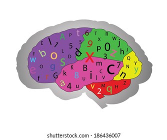 The concept of the functioning of the brain