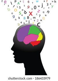 The concept of the functioning of the human body and the brain