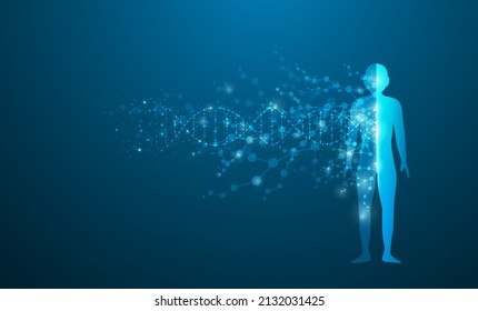 Concept Of Fusion Of DNA And Physical Network Molecules. Human Body Connection, Futuristic Blue Background