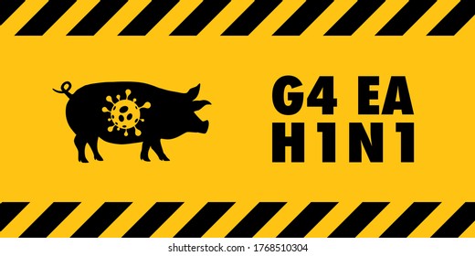 Concept of G4 EA H1N1 or variant genotype 4 Eurasian avian-like H1N1 virus warning sign. Flat icon design of silhouette pig with alphabet on black and yellow line striped plate.