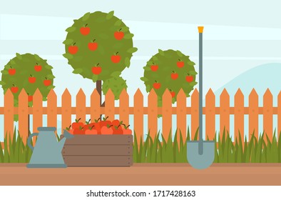 Concept of gardening. Garden tools. Banner with summer garden landscape. Vector illustration. Green garden grass, fence, crate of apples and watering cane. Farm equipment. Harvesting apple trees