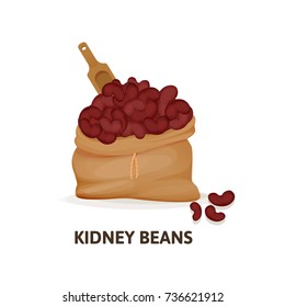 Concept of grain crops in bags. Bag of red kidney beans culture and wooden spoon, plant, an agricultural crop, useful natural organic food, dishes, jute sack with red beans. Vector illustration.