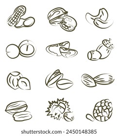 Concepto de alimentación saludable. Colección de diferentes tuercas Vector ilustración plana. Varias nueces. EPS 10.