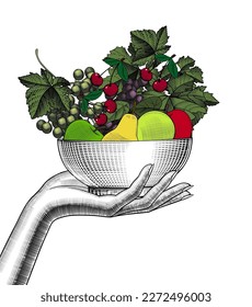 The concept of healthy eating, vegetarianism. A woman's hand with a fruit bowl. Fresh fruits - apples, pears, grapes and cherries. Vector illustration