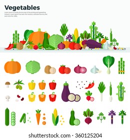 Concept of healthy food. Banner and isolated icons of vegetables on white background in flat design. Carrot, pumpkin, onion, tomato, mushroom. For web, applications, banners, brochures, covers