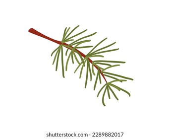 Concept Hello autumn with forest pine branch tree leaf. This illustration is a flat vector design with a concept of autumn forest featuring a cartoon-style pine branch. Vector illustration.