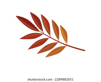 Concept Hello autumn leaf. The illustration is a flat, vector design of a brown brunch of autumn leaves, portrayed in a cartoon style. Vector illustration.
