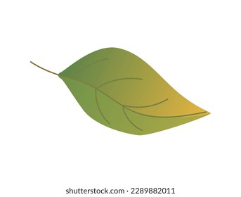 Concept Hello autumn with tree leaf. This is a flat vector illustration of a green leaf in an autumn theme. The design has a cartoon-like style. Vector illustration.