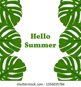 Concept Hello Summer. Tropical plant on a white background. Design template with space for text