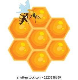 concept of honey designs vector art and illustration
