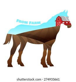 Concept of horse silhouette with text on farm background. Vectr illustration