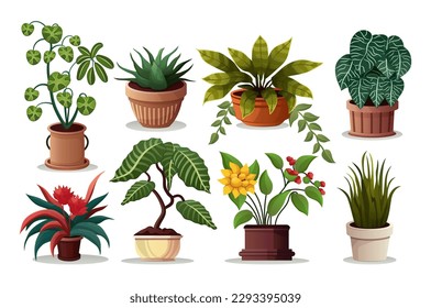 Concept House plants. This flat cartoon design features a set of various houseplants, such as succulents, ferns, and cacti, on a plain white background. Vector illustration.