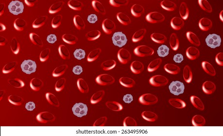 Concept of the human blood cells