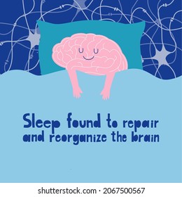 The concept of a human brain resting and recovering in sleep