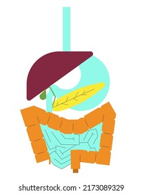 Concept of human digestive system build by abstract shapes. Flat geometric style illustration for background, packaging, ads..