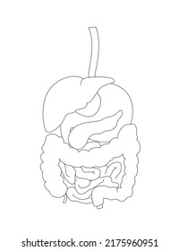 Concept of human digestive system. Outline illustration for banner, book cover, educational use.