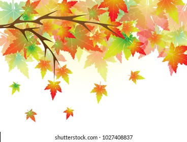 Concept and idea colorful autumn maple leaf background. Vector EPS10