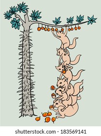 Concept idea: Unity to success,squirrel stand on other back to pick fruit on high tree that full with thorn.
