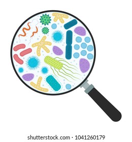 Concept illustration of bacterial research. Vector with gut bacterias, internal flora under magnifier. 