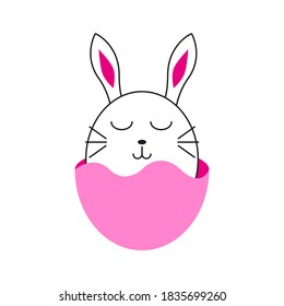 concept illustration of an egg hatching a cute rabbit