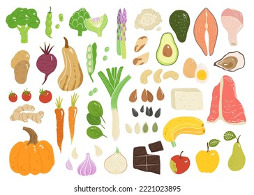 Concept illustration with meat, seafood, sweet fruits and vegetables in vector. Tasty apple, ginger, tomato, squash, beet, carrot, pear and pumpkin, beef, oyster, chicken, chocolate, eggs, potato.