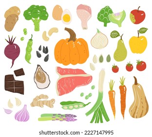 Concept illustration with meat, seafood, sweet fruits and vegetables in vector. Tasty apple, ginger, tomato, squash, beet, carrot, pear and pumpkin, beef, oyster, chicken, chocolate, eggs, potato.