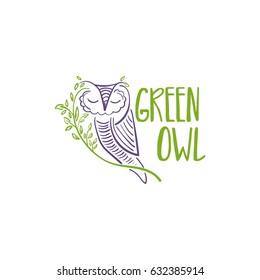 Concept illustration of owl with branch and leaf. Vector design