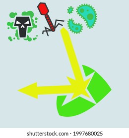 The concept of Immunity is described as a shield reflecting attacks from viruses, poisons and bacteria
