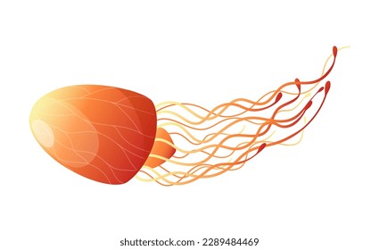 Concept Jellyfish. The illustration depicts an orange jellyfish on a white background. The design is flat and cartoon-like with a vector-style. Vector illustration.