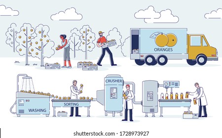 Concept Of Juices Production. People Picking Oranges On Plantation, Washing And Sorting It With Equipment, Crush Fruits And Squeeze Fresh Juice. Cartoon Linear Outline Flat Style. Vector Illustration