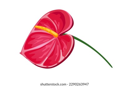 Concept Jungle botany plant branch flower. A beautiful pink flower from the botany plant is the focus of this vector illustration. Vector illustration.