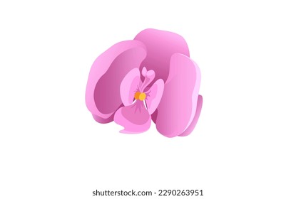 Concept Jungle botany plant branch flower. The cartoonish style of the design adds a playful touch to the realistic portrayal of the pink plant. Vector illustration.