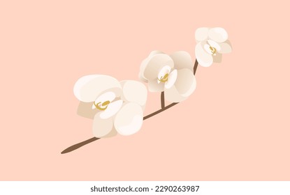 Concept Jungle botany plant branch flower. This illustration features a flat, vector design of a white orchid plant in a jungle setting. Vector illustration.