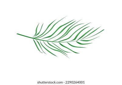 Concept Jungle botany plant branch leaf. This illustration depicts a single green branch of a jungle plant against a white background. Vector illustration.