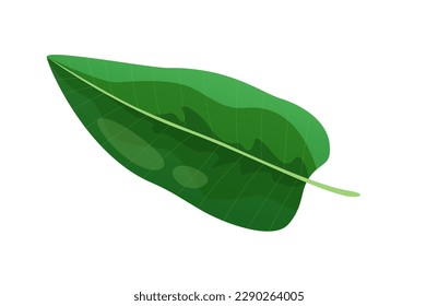 Concept Jungle botany plant branch leaf. This cartoon-inspired design showcases a bold, green leaf that pops against a stark white backdrop. Vector illustration.