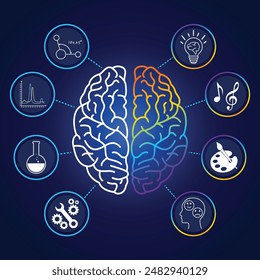 The concept of left and right human brain Infographic design consisting of icons of creativity using the right brain. And analytical thinkers have left-brained ideas. knowledge vector illustration