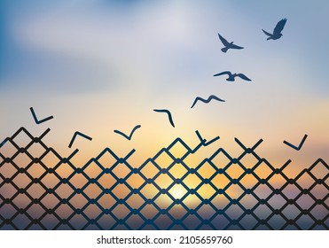 Concept of liberation, with the grid of a palisade which metamorphoses into a dove, which flies and escapes to the setting sun.
