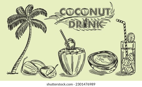 Concept line art illustration of coconut tree, coconuts and coconut drink isolated on light green background in vector illustration