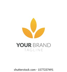 concept logo nature or seed simple modern