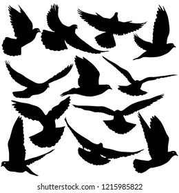 Concept of love or peace. Set silhouettes doves.