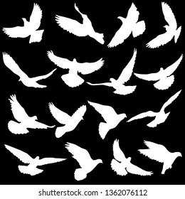 Concept of love or peace. Set silhouettes doves.
