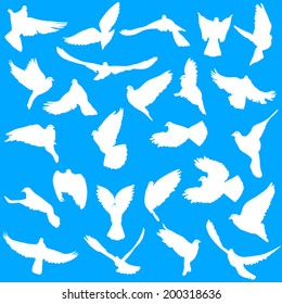 Concept of love or peace. Set of silhouettes of doves. Vector illustration.