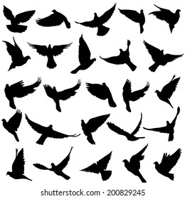 Concept of love or peace. Set of silhouettes of doves. Vector illustration.