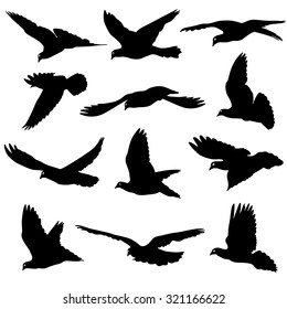 Concept of love or peace. Set of silhouettes of doves. Vector illustration.