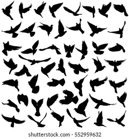 Concept of love or peace. Set silhouettes doves. Vector illustration.