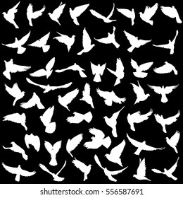 Concept of love or peace. Set silhouettes doves. Vector illustration.